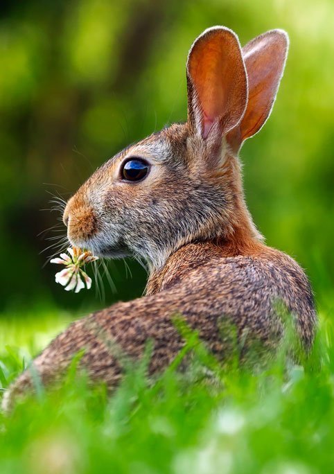 In the spring, at the end of the day, you should smell like dirt landscape-nature-grass-lawn-meadow-prairie