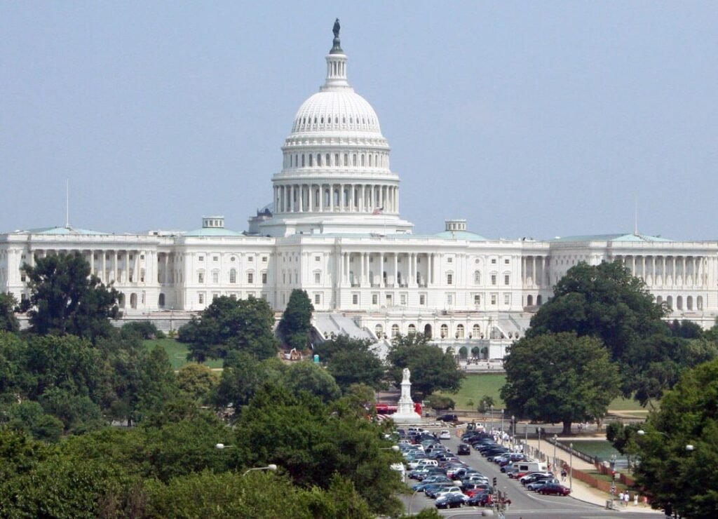 In this country American means white. Everybody else has to hyphenate house-building-palace-city